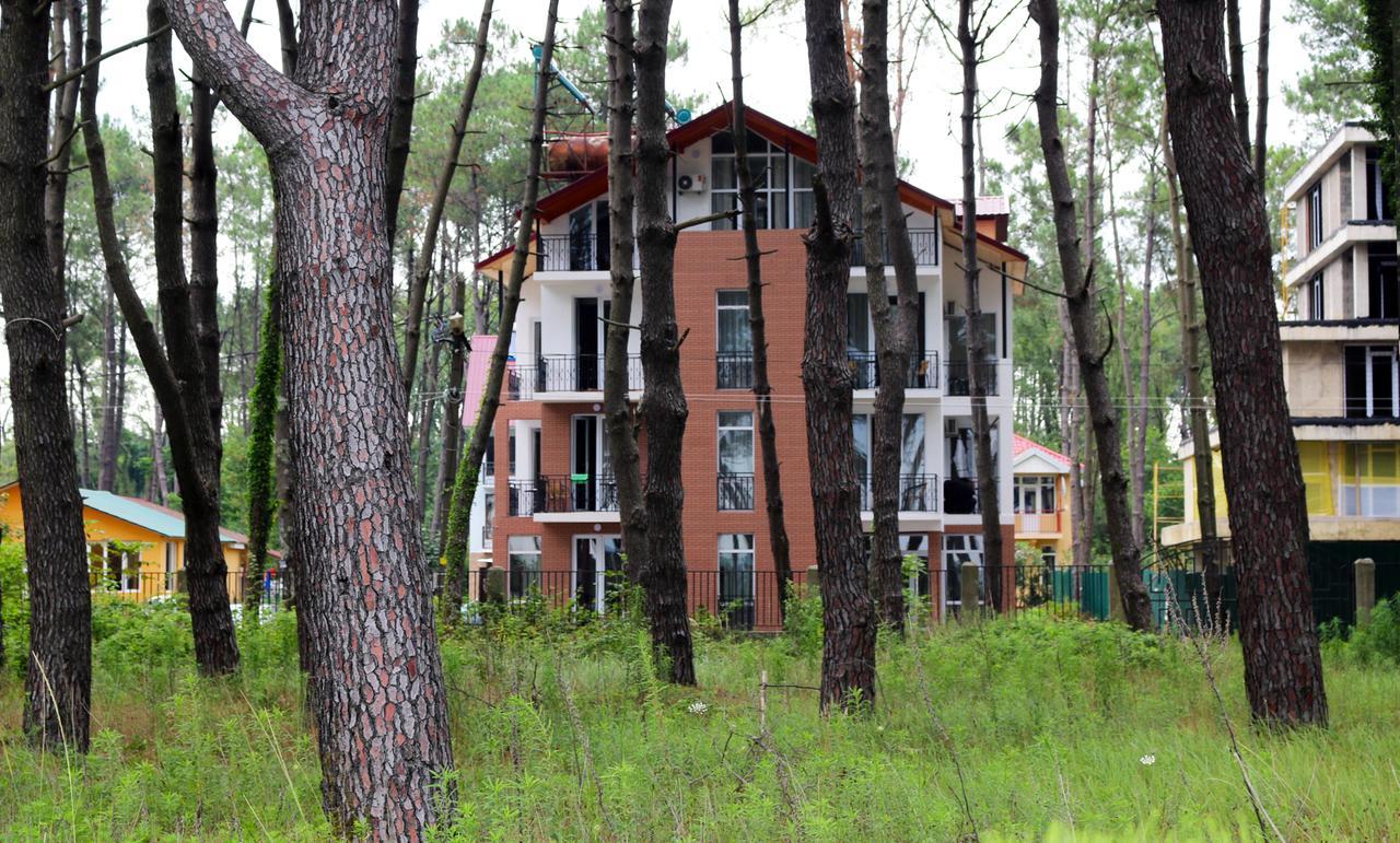 Gina Shekvetili Otel Dış mekan fotoğraf