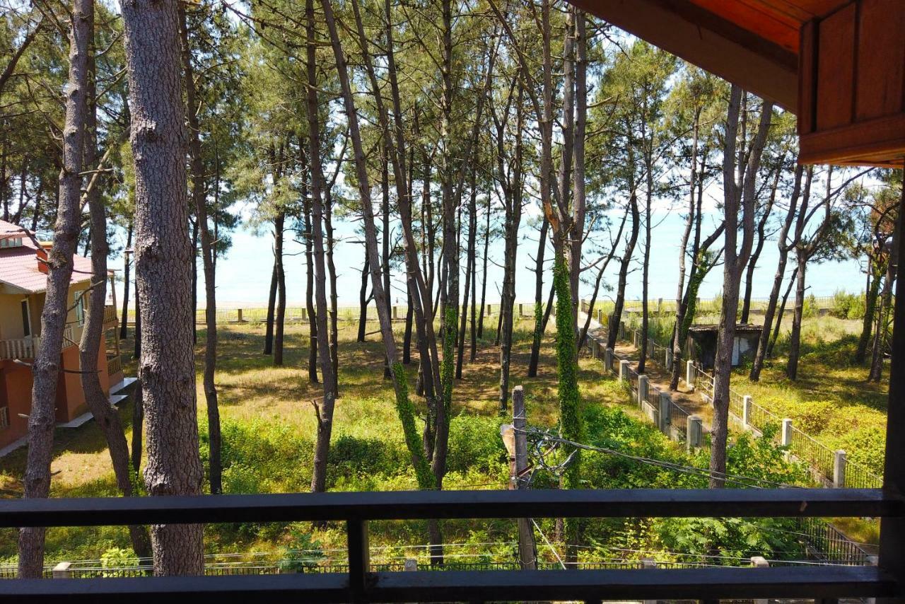 Gina Shekvetili Otel Dış mekan fotoğraf