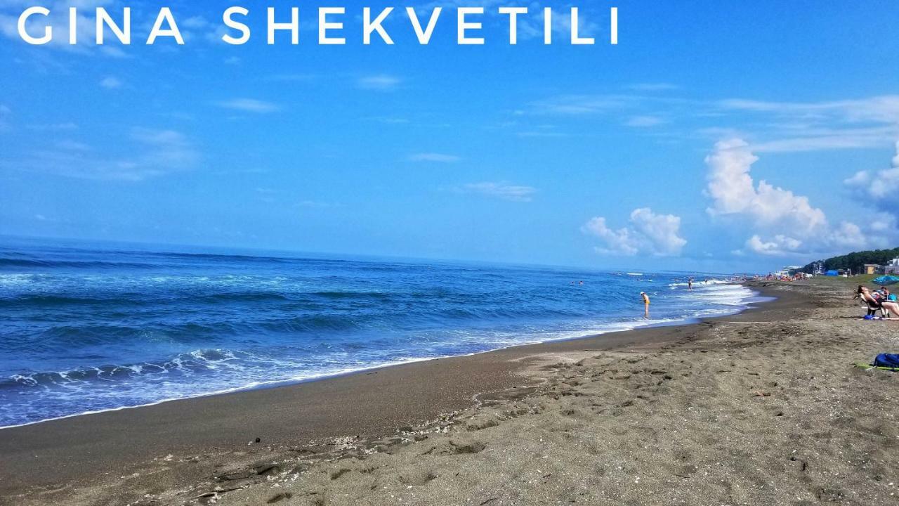 Gina Shekvetili Otel Dış mekan fotoğraf